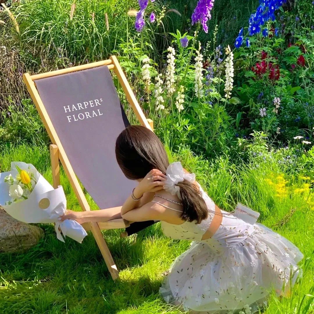 云海玉弓缘粤语