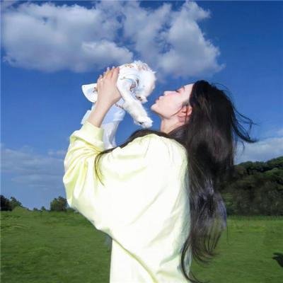 名侦探柯南：绀青之拳